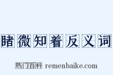 睹微知着反义词是什么意思的图片